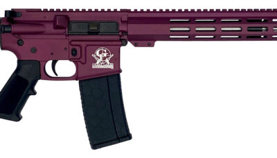 Great Lakes Firearms GL15223SSCHY AR-15  223 Wylde 16" Stainless 30+1, Black Cherry Rec, Black Stock & Grip