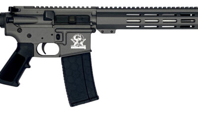 Great Lakes Firearms GL15223SSTNG AR-15  223 Wylde 16" Stainless 30+1, Tungsten Rec, Black Stock & Grip