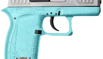 Diamondback DB0100E092 DB380 Gen4 Micro-Compact Frame 380 ACP 6+1, 2.80" Stainless Steel Barrel, Nickel Boron Serrated Stainless Steel Slide, Mint Polymer Frame w/Beavertail & Grip