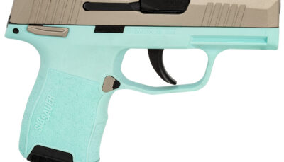 SIG 365380REBMS         P365 380 XR3MS 3.1 10R TRQ