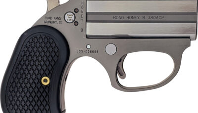 Bond Arms BAHB Honey B  9mm Luger 2rd Shot 3" Matte Stainless Steel Frame Black Extended B6 Resin Grips