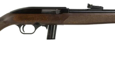 Rossi RS22L1811WD RS22 Full Size 22 LR 10+1 18" Matte Black Steel Barrel, Matte Black Receiver, Fixed Hardwood Stock