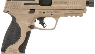 S&W M&P9 14163 M2.0 9MM 4.625 17R OR TB FDE