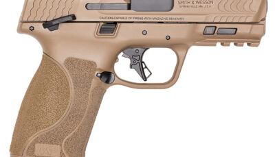 S&W*M&P M2.0    13739 10MM OR CMPCT TS  4  15R FDE