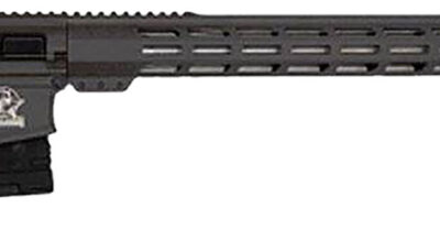 Great Lakes Firearms GL10243SSTNG GLFA  243 Win 5+1 24" Stainless Threaded Barrel, Tungsten Cerakote Picatinny Rail Aluminum Receiver, Adjustable Black Synthetic Stock, Mil-spec Polymer Grip
