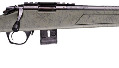 Bergara Rifles BMR012 BMR-X Carbon Fiber 17 HMR 10+1 18" Carbon Fiber Threaded Barrel, Black Cerakote Picatinny Rail Steel Receiver, Adj LOP Black w/Green Webbing Synthetic Stock