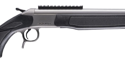 CVA CR4442S Scout Takedown 45-70 Gov 1rd 22" Stainless Fluted Threaded Barrel, Stainless Steel Receiver w/Picatinny Rail, Adj Comb & LOP Black Synthetic Stock