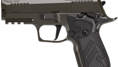Sig Sauer 226XCA9LEGIONSAORXSL P226 9mm Luger