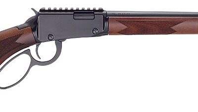 Henry H001PGH22 Sporter 22 S/L/LR 15/17/21+1 18.50" Blued Threaded Barrel, Black Aluminum Receiver w/Picatinny Rail, American Walnut Fixed w/Pistol Grip Stock