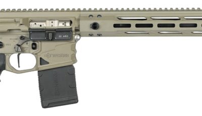 Nemo Arms BL-22ARC-20SS Battle-Light 22 ARC 10+1 20" Black Threaded Barrel, Nemo Sage Gray Aluminum Receiver w/Picatinny Rail, M-LOK Handguard, Magpul PRS Lite Black Polymer Stock, Black Magpul MIAD