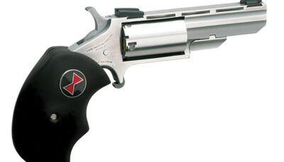 North American Arms BWM Black Widow  22 WMR 5 Shot 2" Stainless Steel Vent Rib Barrel, Stainless Steel Frame, Stainless Cylinder, Black Finger Grooved Rubber Grip, Exposed Hammer