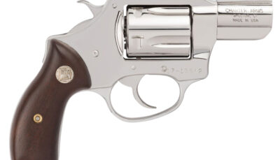 Charter Arms 73829 Undercover  Small 38 Special, 5 Shot 2" High Polished Stainless Steel Barrel, Cylinder & Frame w/Wood Grip, Exposed Hammer