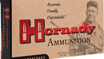 Hornady 8225 Custom 303British 150gr InterLock Spire Point 20 Per Box/10 Case