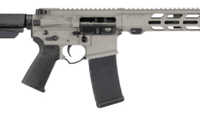 APF 5.56 PISTOL 2.0 10.5 BULL SHARK GRY