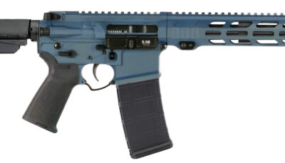 APF 5.56 PISTOL 2.0 10.5 NORTHERN LIGHTS