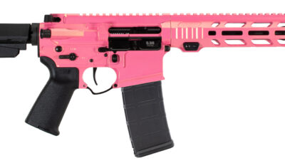 APF 5.56 PISTOL 2.0 10.5 PINKASAURUS REX