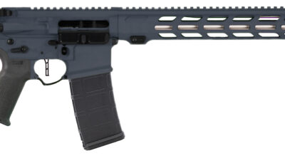 APF DMR 2.0 6MM ARC GRY 18 MLOK ACS 24RD