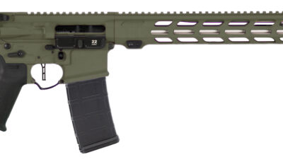 APF DMR 22ARC 2.0 18 MAGPUL ACS ODG