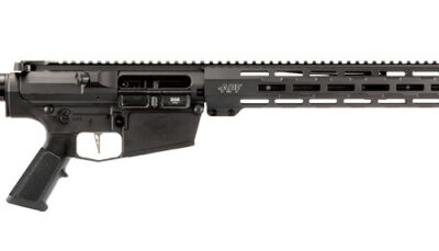 APF RAGNAR 308WIN BLK 16 MLOK M-4