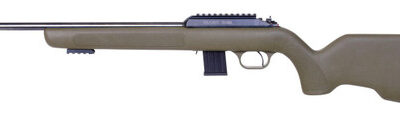 BLG DIANA R-22 22LR CLASSIC ODG