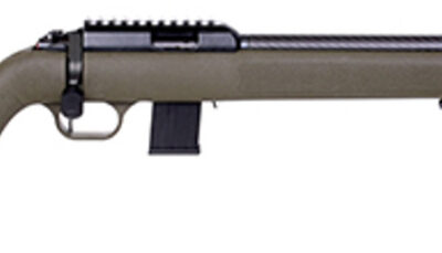 BLG DIANA R-22 22LR TAN CARBON FIBER BARREL