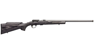 BRO TBOLT GRAY LAMINATED TARGET VARMINT 17HMR SS