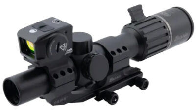 BUR RT6 1-6X24 KIT W/FFE RED