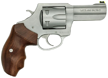 CA PROFESSIONAL V 357MAG 3 SS WOOD 6RD