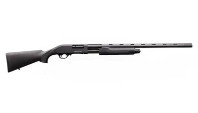 CDLY 301 FIELD 20GA 3 26 MC3 BLK SYN PUMP