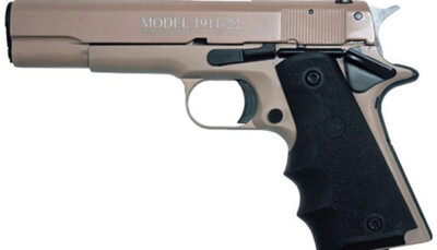 CHIAPPA 1911-22 22LR 5 TAN FRAME HOGUE GRIP 10R