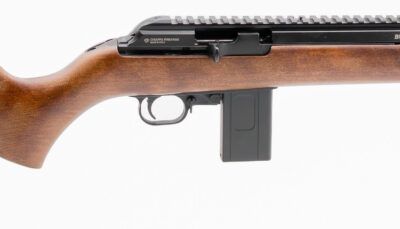 CHIAPPA BUSH RANGER 22LR 16 WOOD 10RD