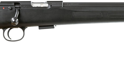 CZ 457 AMERICAN SYNTHETI SUPPRESSOR READY 17HMR