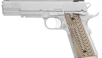 DAN WESSON SPECIALIST 9MM 5 SS RAIL NS 10RD