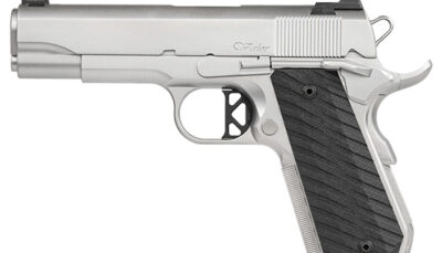 DAN WESSON VBOB 45ACP 4.25 SS G10 8RD