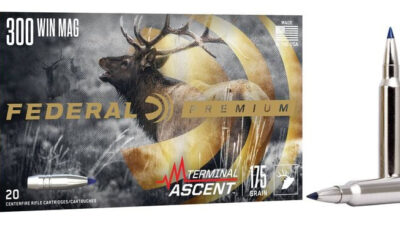 FED TERMINAL ASCENT 300WIN 175GR 20/10