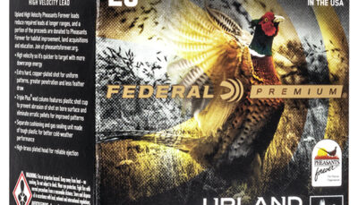FED WING-SHOK HV 20GA 2.75 1OZ #7.5 25/10
