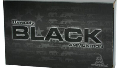 HORN BLACK 300BLK 110GR NTX 20/10