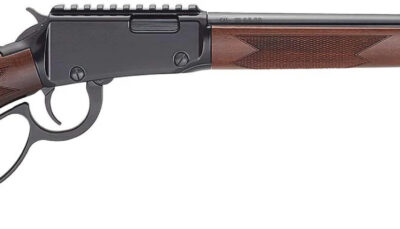 HENRY H1 BANDIT 22MAG 18.5