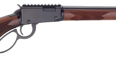 HENRY H1 SPORTER 17HMR 18.5 12RD