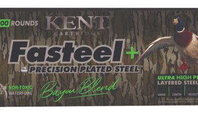 KENT FASTEEL+ BAYOU 20GA 1OZ #2X5 100/2