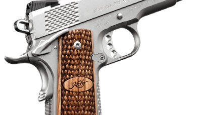KIMBER 1911 STAINLESS PRO RAPTOR II 45ACP 4