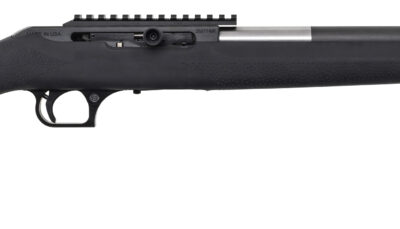 MR STRAIGHT PULL BOLT 17HMR 19 BLK HOGUE