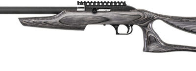 MR SWITCHBOLT 22LR 17 GRAPHITE PEPPER LAM