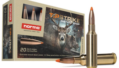 NORMA TIPSTRIKE 6.5CREED 140GR 20/10
