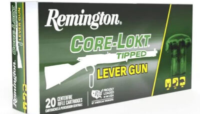 REM CORE-LOKT 45-70GOV 300GR TIPPED 20/10