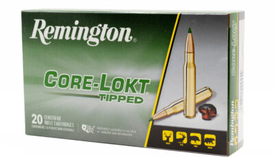 REM CORE-LOKT 300REM 180GR TIPPED 20/10