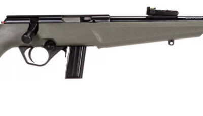 ROSSI RB 22 COMPACT 22LR 16 ODG 10RD