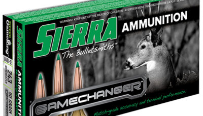 SIE AMMO 243WIN 90GR TGK 20/10