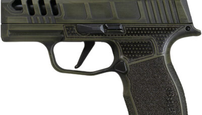 SIG SHARK COAST TACTICAL ODG 365XR3RXX W ROMEO