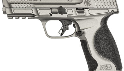SW M&P9 M2.0 METAL OR 9MM 4.25 NTS GRAY 17RD